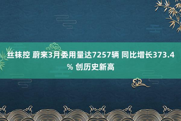 丝袜控 蔚来3月委用量达7257辆 同比增长373.4% 创历史新高