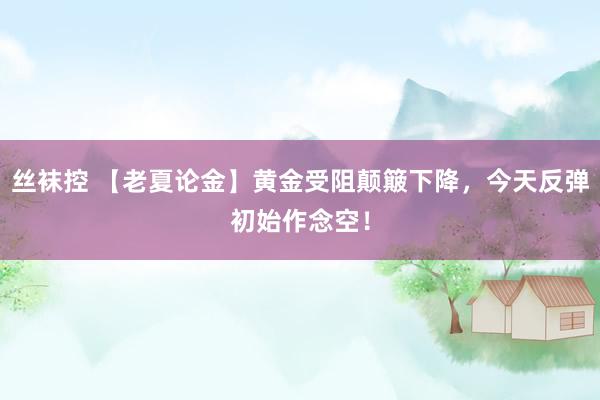 丝袜控 【老夏论金】黄金受阻颠簸下降，今天反弹初始作念空！