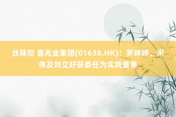 丝袜控 喜兆业集团(01638.HK)：罗婷婷、宋伟及刘立好获委任为实践董事