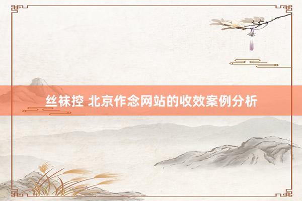 丝袜控 北京作念网站的收效案例分析