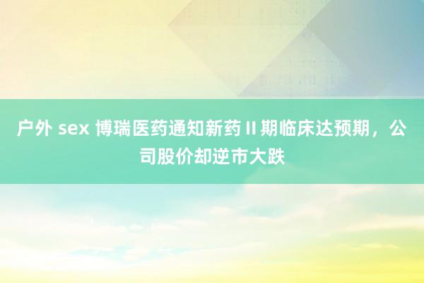 户外 sex 博瑞医药通知新药Ⅱ期临床达预期，公司股价却逆市大跌