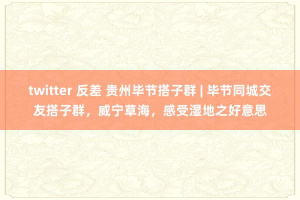 twitter 反差 贵州毕节搭子群 | 毕节同城交友搭子群，威宁草海，感受湿地之好意思