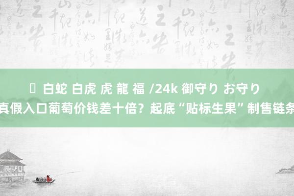 ✨白蛇 白虎 虎 龍 福 /24k 御守り お守り 真假入口葡萄价钱差十倍？起底“贴标生果”制售链条