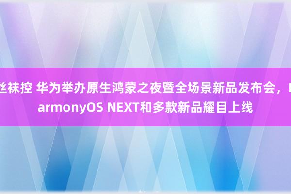 丝袜控 华为举办原生鸿蒙之夜暨全场景新品发布会，HarmonyOS NEXT和多款新品耀目上线