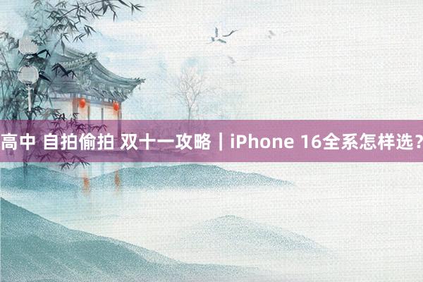 高中 自拍偷拍 双十一攻略|iPhone 16全系怎样选?