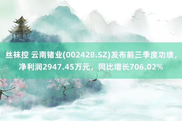 丝袜控 云南锗业(002428.SZ)发布前三季度功绩，净利润2947.45万元，同比增长706.02%