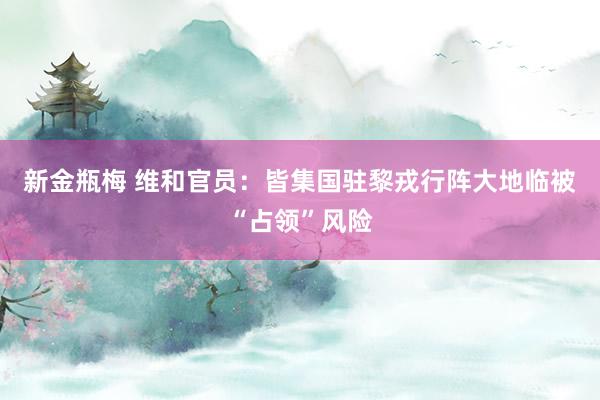 新金瓶梅 维和官员：皆集国驻黎戎行阵大地临被“占领”风险