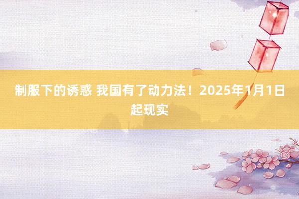 制服下的诱惑 我国有了动力法！2025年1月1日起现实