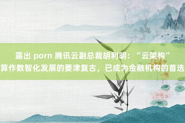 露出 porn 腾讯云副总裁胡利明：“云架构”算作数智化发展的要津复古，已成为金融机构的首选