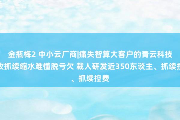 金瓶梅2 中小云厂商|痛失智算大客户的青云科技营收抓续缩水难懂脱亏欠 裁人研发近350东谈主、抓续控费