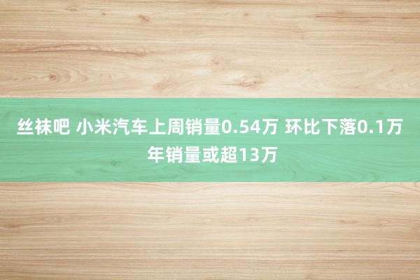 丝袜吧 小米汽车上周销量0.54万 环比下落0.1万 年销量或超13万