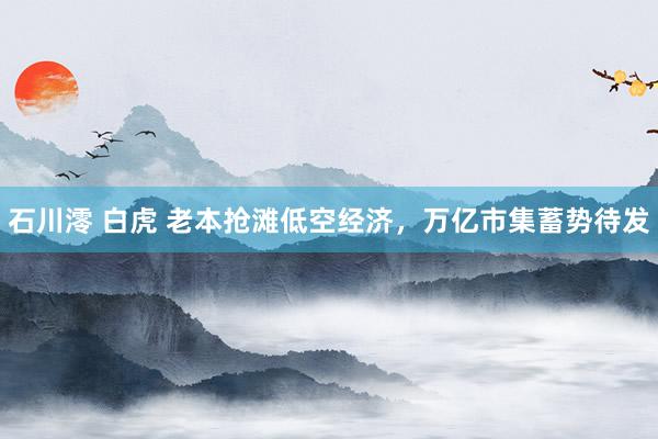 石川澪 白虎 老本抢滩低空经济，万亿市集蓄势待发