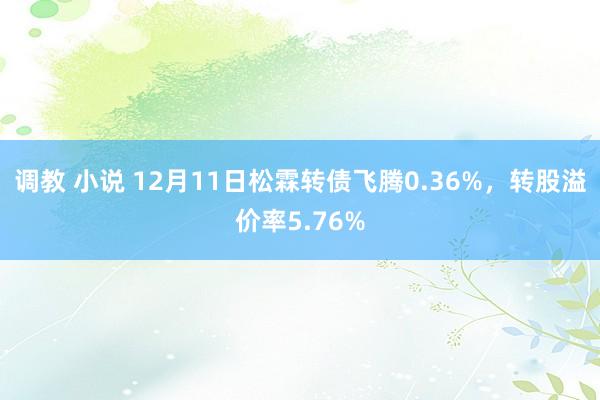 调教 小说 12月11日松霖转债飞腾0.36%，转股溢价率5.76%