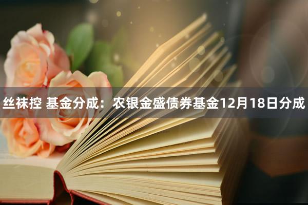 丝袜控 基金分成：农银金盛债券基金12月18日分成