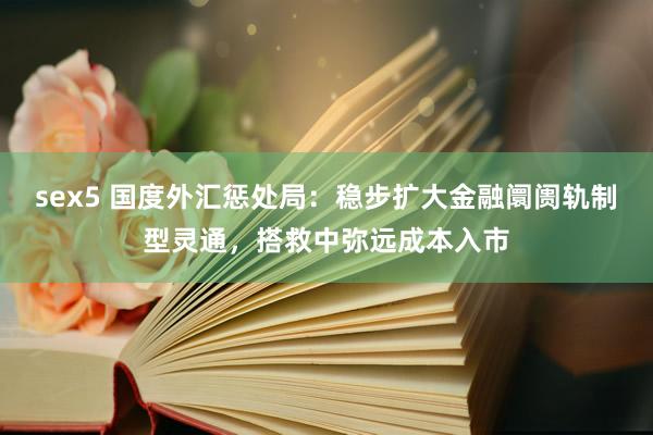 sex5 国度外汇惩处局：稳步扩大金融阛阓轨制型灵通，搭救中弥远成本入市