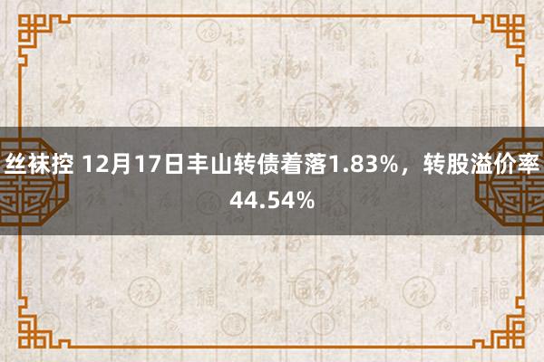 丝袜控 12月17日丰山转债着落1.83%，转股溢价率44.54%