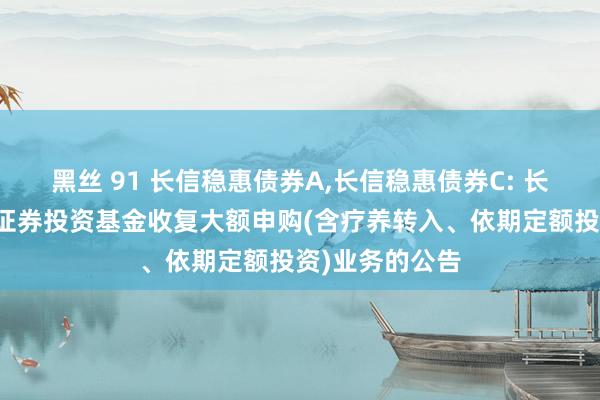黑丝 91 长信稳惠债券A,长信稳惠债券C: 长信稳惠债券型证券投资基金收复大额申购(含疗养转入、依期定额投资)业务的公告