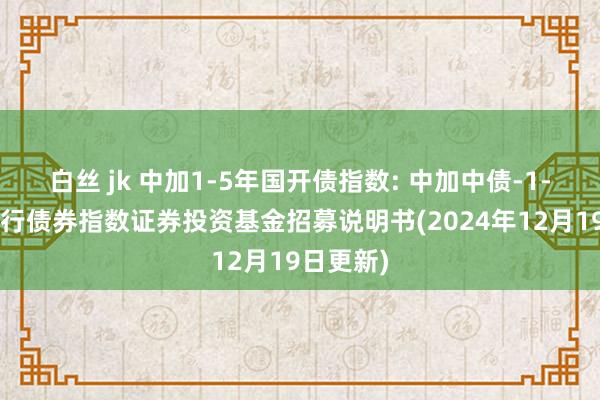 白丝 jk 中加1-5年国开债指数: 中加中债-1-5年国开行债券指数证券投资基金招募说明书(2024年12月19日更新)