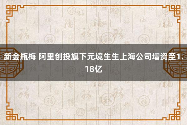 新金瓶梅 阿里创投旗下元境生生上海公司增资至1.18亿