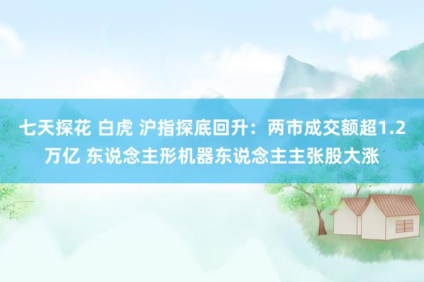 七天探花 白虎 沪指探底回升：两市成交额超1.2万亿 东说念主形机器东说念主主张股大涨