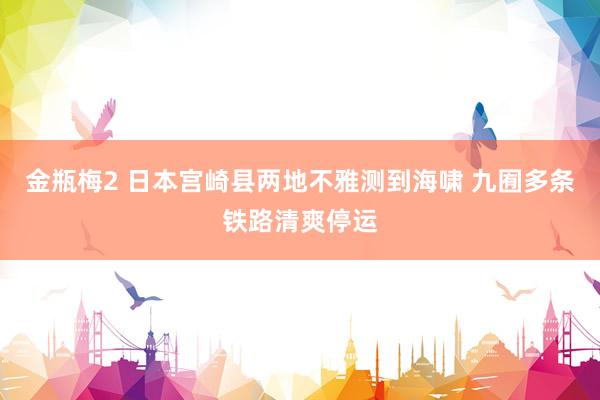 金瓶梅2 日本宫崎县两地不雅测到海啸 九囿多条铁路清爽停运