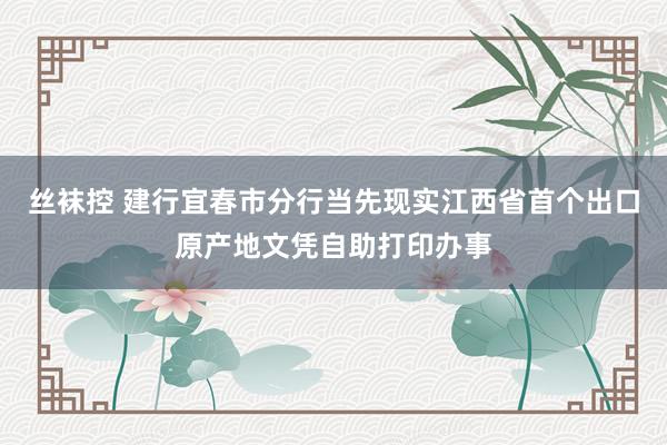 丝袜控 建行宜春市分行当先现实江西省首个出口原产地文凭自助打印办事