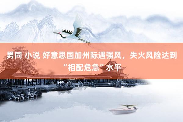 男同 小说 好意思国加州际遇强风,失火风险达到“相配危急”水平