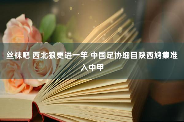 丝袜吧 西北狼更进一竿 中国足协细目陕西鸠集准入中甲