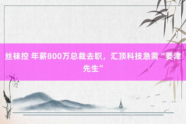 丝袜控 年薪800万总裁去职，汇顶科技急需“要津先生”