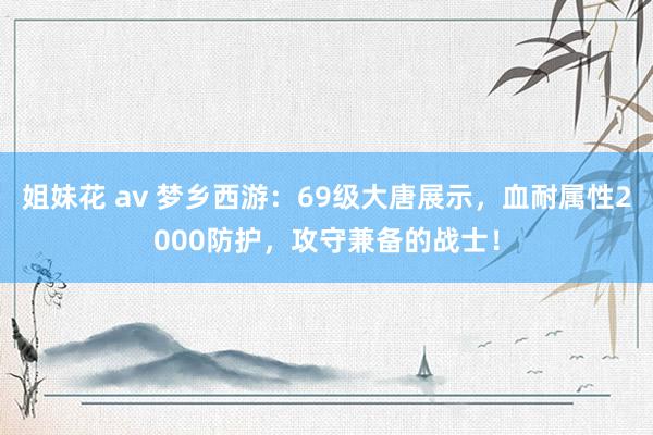 姐妹花 av 梦乡西游：69级大唐展示，血耐属性2000防护，攻守兼备的战士！