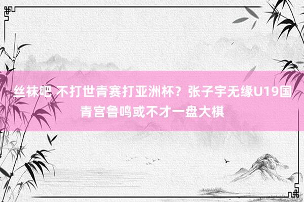 丝袜吧 不打世青赛打亚洲杯？张子宇无缘U19国青宫鲁鸣或不才一盘大棋