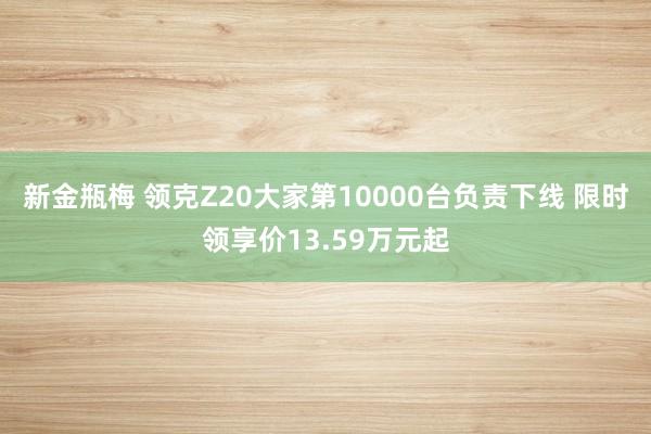 新金瓶梅 领克Z20大家第10000台负责下线 限时领享价13.59万元起