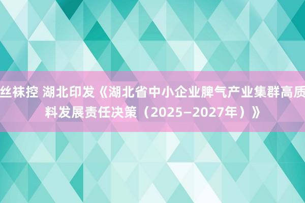 丝袜控 湖北印发《湖北省中小企业脾气产业集群高质料发展责任决策（2025—2027年）》