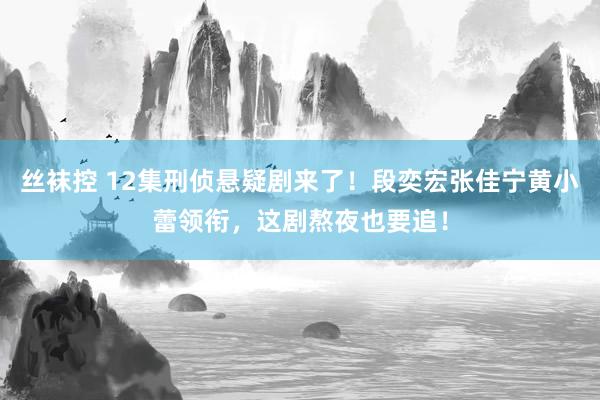 丝袜控 12集刑侦悬疑剧来了！段奕宏张佳宁黄小蕾领衔，这剧熬夜也要追！