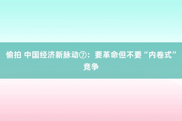 偷拍 中国经济新脉动⑦：要革命但不要“内卷式”竞争