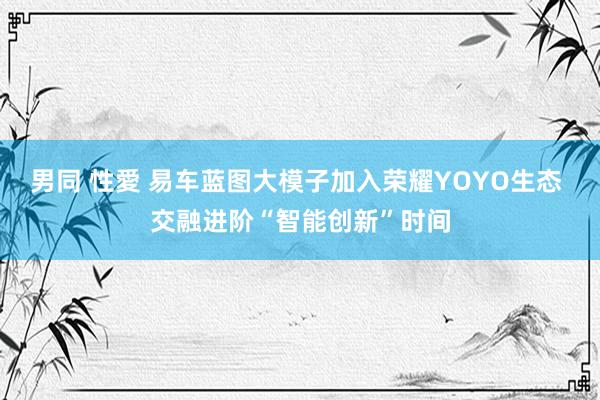 男同 性愛 易车蓝图大模子加入荣耀YOYO生态 交融进阶“智能创新”时间