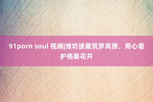 91porn soul 视频|潍坊援藏筑梦高原，用心看护格桑花开